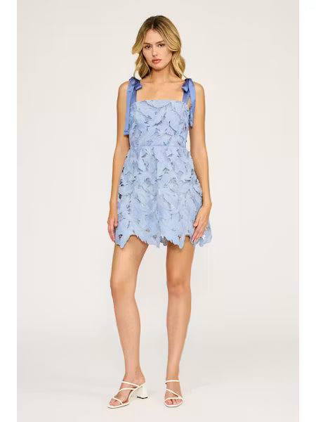 Mini Lace Dress